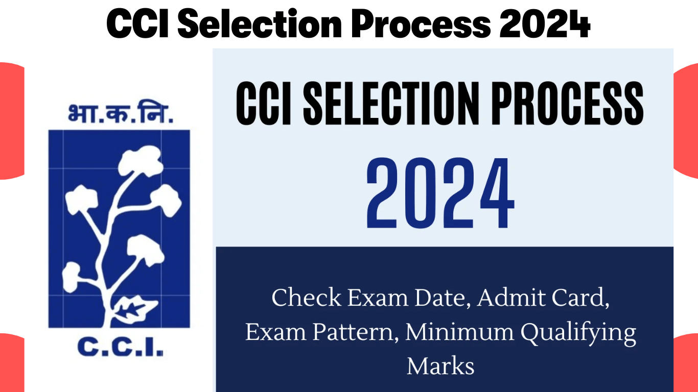 CCI Selection Process 2024