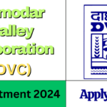 Damodar Valley Corporation Recruitment