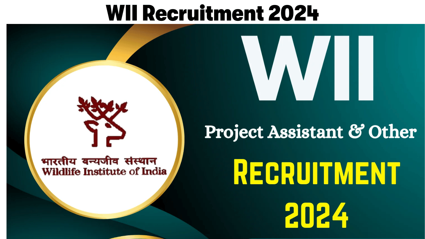 WII Recruitment 2024