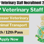 ITBP Veterinary Staff Recruitment 2024 – Apply Online for 128 HC, Constable Animal Attendant Posts, Best for you