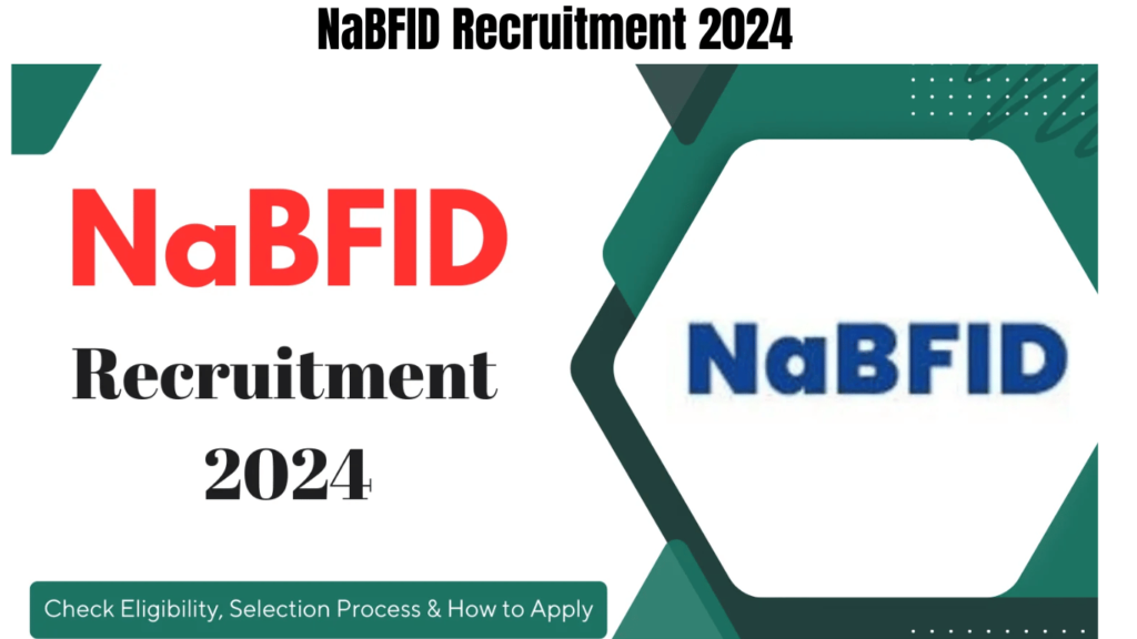 NaBFID Recruitment 2024, Check Eligibility, Selection Process & How to Apply, Best for you