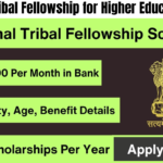 National Tribal Fellowship for Higher Education 2024