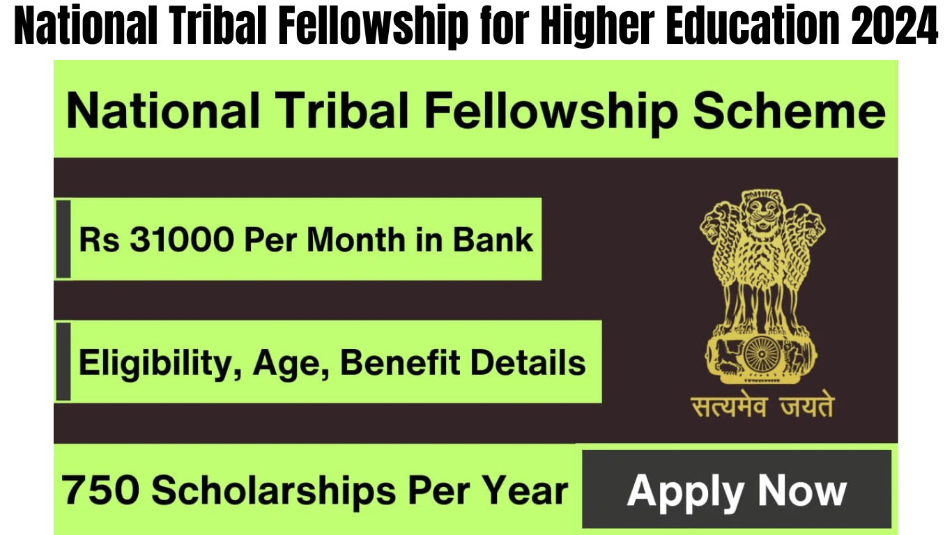 National Tribal Fellowship for Higher Education 2024