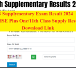 TN 11th Supplementary Results 2024 Download Link (OUT) Tamil Nadu HSE Plus One Supply Result online tnresults.nic.in & dge.tn.gov.in, Best for you
