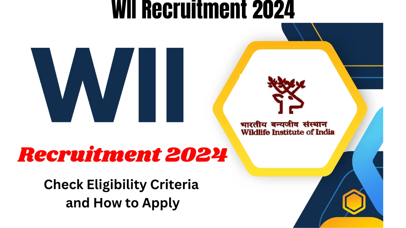 WII Recruitment 2024